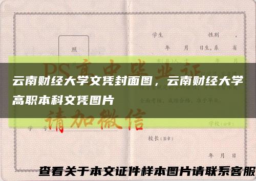 云南财经大学文凭封面图，云南财经大学高职本科文凭图片缩略图