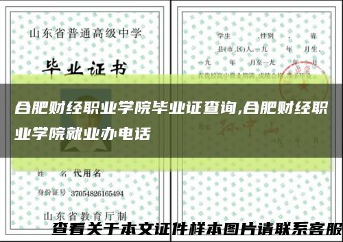 合肥财经职业学院毕业证查询,合肥财经职业学院就业办电话缩略图