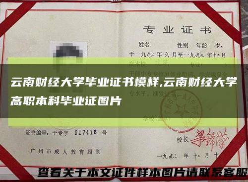 云南财经大学毕业证书模样,云南财经大学高职本科毕业证图片缩略图