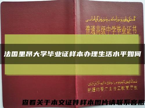 法国里昂大学毕业证样本办理生活水平如何缩略图