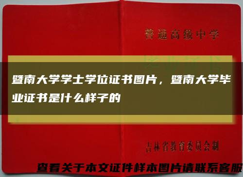 暨南大学学士学位证书图片，暨南大学毕业证书是什么样子的缩略图