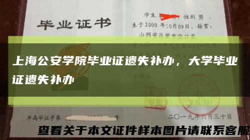 上海公安学院毕业证遗失补办，大学毕业证遗失补办缩略图