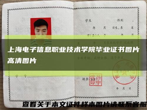 上海电子信息职业技术学院毕业证书图片高清图片缩略图
