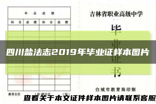 四川盐法志2019年毕业证样本图片缩略图