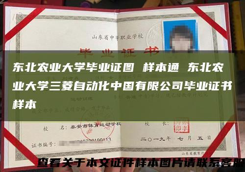 东北农业大学毕业证图 样本通 东北农业大学三菱自动化中国有限公司毕业证书样本缩略图