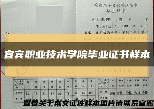 宜宾职业技术学院毕业证书样本缩略图