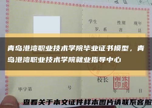 青岛港湾职业技术学院毕业证书模型，青岛港湾职业技术学院就业指导中心缩略图