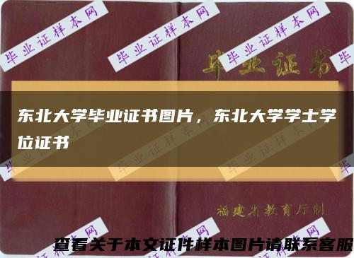 东北大学毕业证书图片，东北大学学士学位证书缩略图