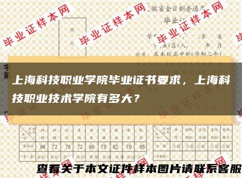 上海科技职业学院毕业证书要求，上海科技职业技术学院有多大？缩略图