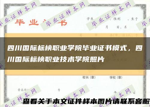 四川国际标榜职业学院毕业证书模式，四川国际标榜职业技术学院照片缩略图