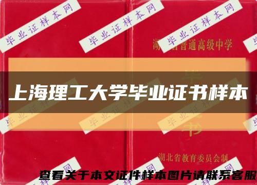 上海理工大学毕业证书样本缩略图