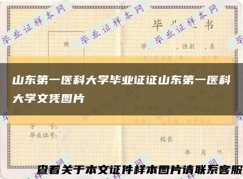 山东第一医科大学毕业证证山东第一医科大学文凭图片缩略图