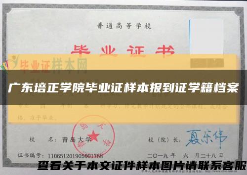 广东培正学院毕业证样本报到证学籍档案缩略图