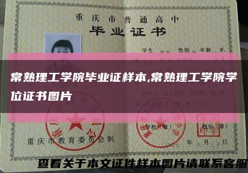 常熟理工学院毕业证样本,常熟理工学院学位证书图片缩略图