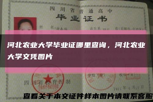 河北农业大学毕业证哪里查询，河北农业大学文凭图片缩略图