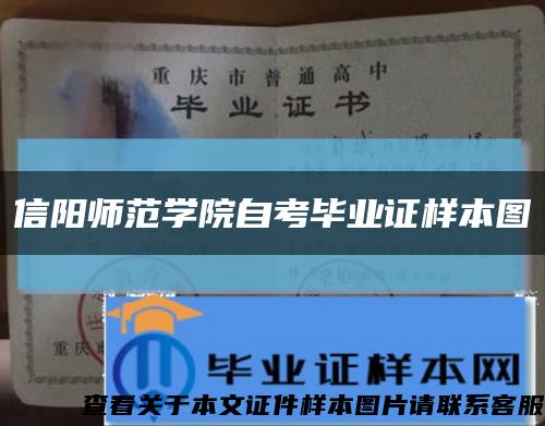 信阳师范学院自考毕业证样本图缩略图