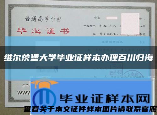 维尔茨堡大学毕业证样本办理百川归海缩略图