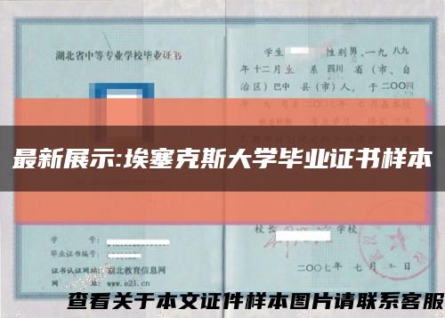 最新展示:埃塞克斯大学毕业证书样本缩略图