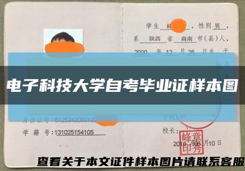 电子科技大学自考毕业证样本图缩略图