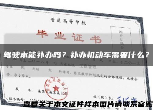 驾驶本能补办吗？补办机动车需要什么？缩略图