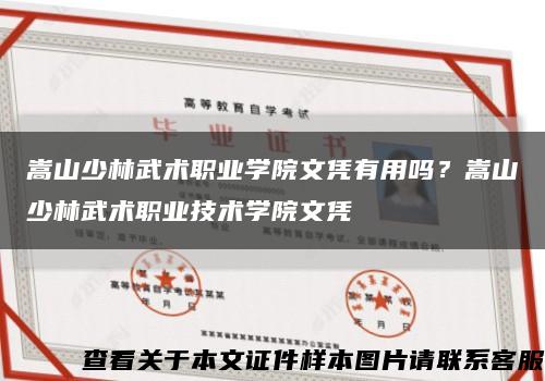 嵩山少林武术职业学院文凭有用吗？嵩山少林武术职业技术学院文凭缩略图