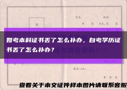 如考本科证书丢了怎么补办，自考学历证书丢了怎么补办？缩略图