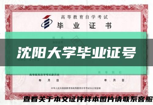 沈阳大学毕业证号缩略图