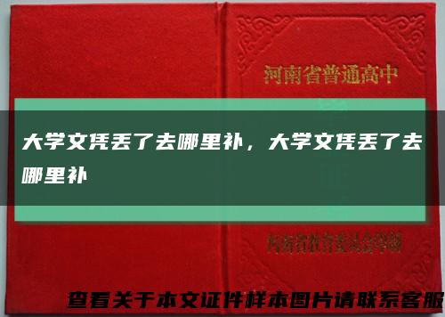 大学文凭丢了去哪里补，大学文凭丢了去哪里补缩略图