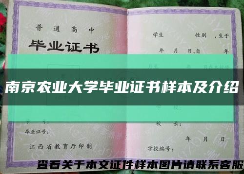南京农业大学毕业证书样本及介绍缩略图