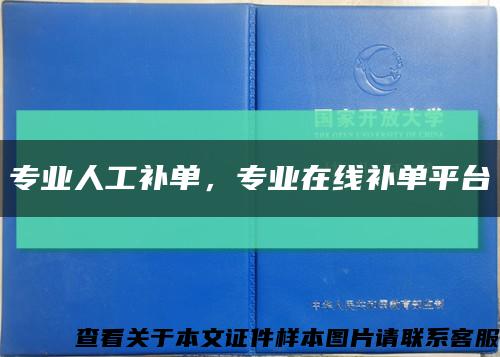 专业人工补单，专业在线补单平台缩略图