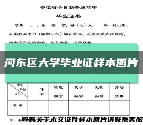 河东区大学毕业证样本图片缩略图
