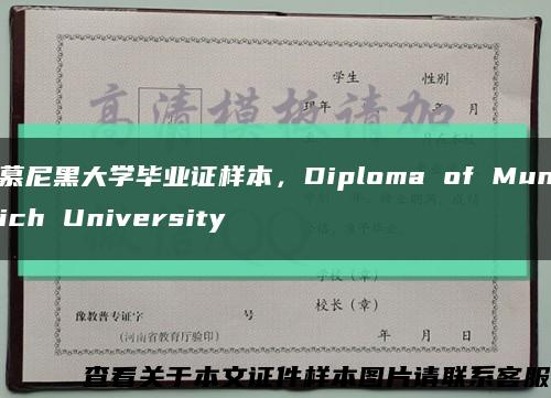 慕尼黑大学毕业证样本，Diploma of Munich University缩略图