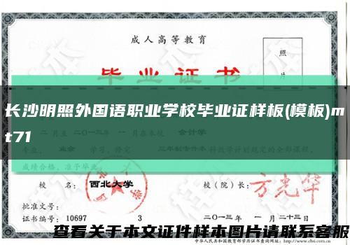 长沙明照外国语职业学校毕业证样板(模板)mt71缩略图