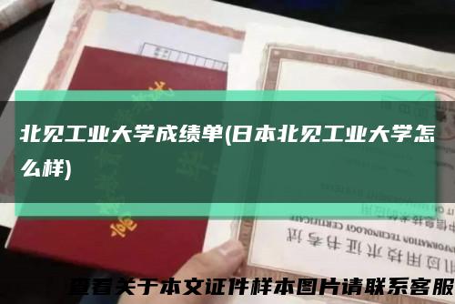 北见工业大学成绩单(日本北见工业大学怎么样)缩略图