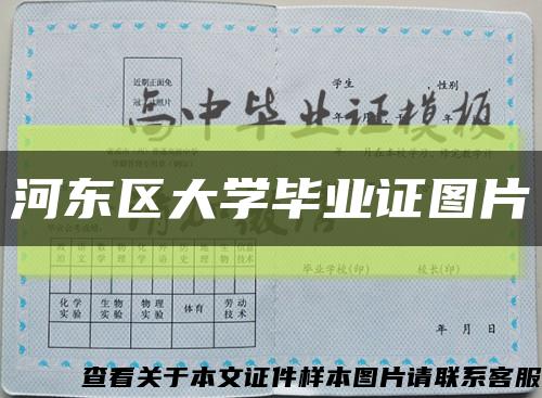 河东区大学毕业证图片缩略图
