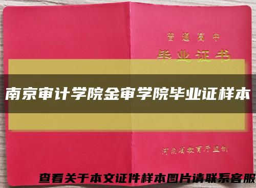 南京审计学院金审学院毕业证样本缩略图