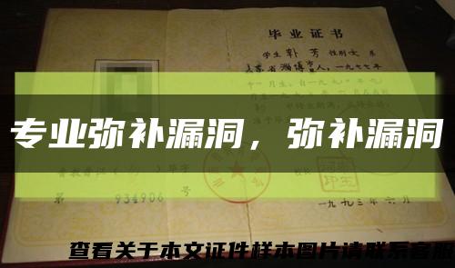 专业弥补漏洞，弥补漏洞缩略图