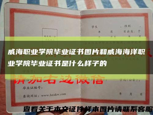 威海职业学院毕业证书图片和威海海洋职业学院毕业证书是什么样子的缩略图