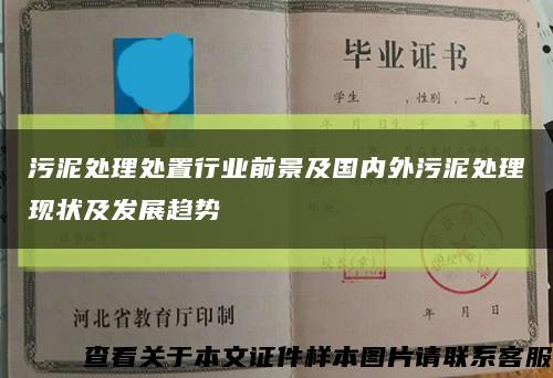 污泥处理处置行业前景及国内外污泥处理现状及发展趋势缩略图
