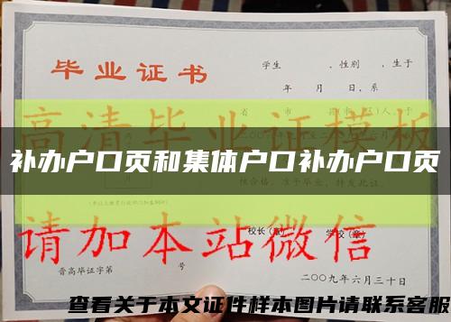 补办户口页和集体户口补办户口页缩略图