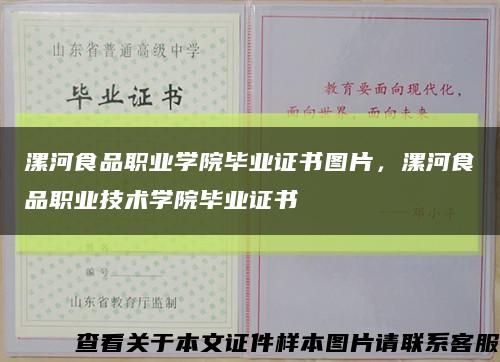 漯河食品职业学院毕业证书图片，漯河食品职业技术学院毕业证书缩略图