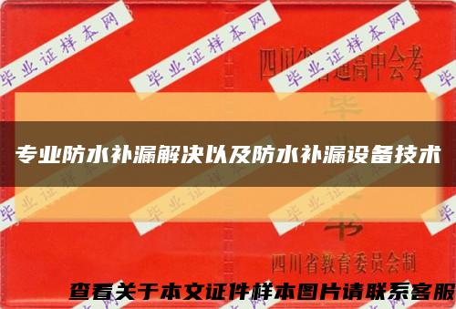专业防水补漏解决以及防水补漏设备技术缩略图