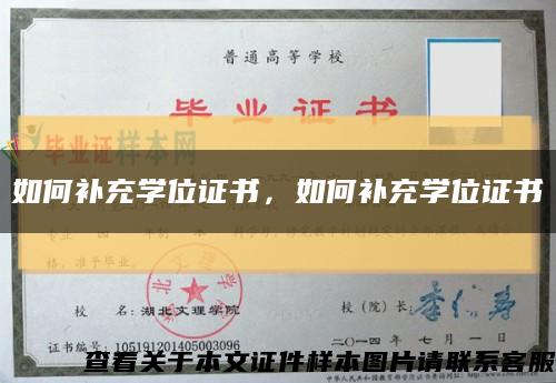 如何补充学位证书，如何补充学位证书缩略图