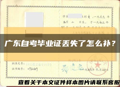 广东自考毕业证丢失了怎么补？缩略图