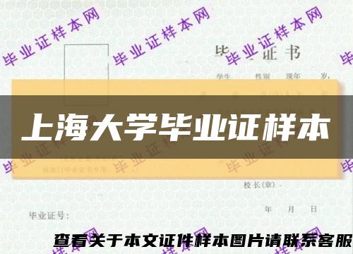 上海大学毕业证样本缩略图