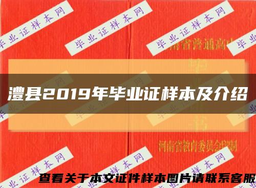 澧县2019年毕业证样本及介绍缩略图