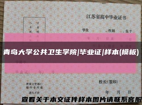 青岛大学公共卫生学院|毕业证|样本(模板)缩略图