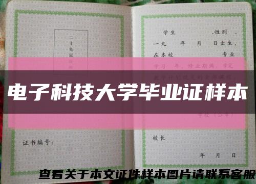 电子科技大学毕业证样本缩略图
