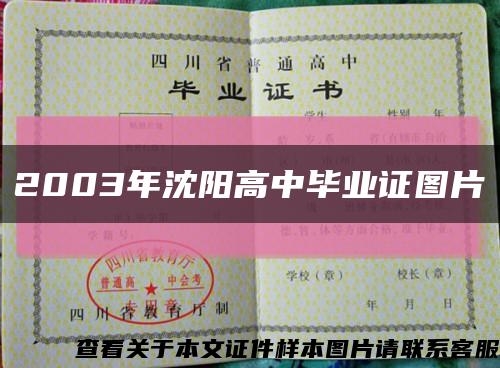 2003年沈阳高中毕业证图片缩略图