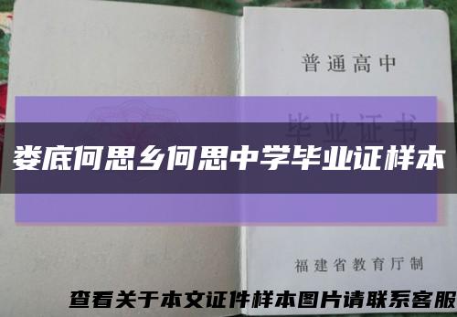 娄底何思乡何思中学毕业证样本缩略图